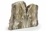 Tall Petrified Wood Bookends #277104-1